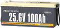 power queen batterie, 24 V, 100 Ah, Bleu, LiFePO4 avec BMS 100A, Cycles Profondes, Caravane, Système Solaire …