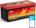 MOSEWORTH Entretien de la maison et nettoyage, 12 V, 300 Ah, Rouge/Noir, Batterie au lithium LiFePO4 avec Bluetooth - BMS intégré