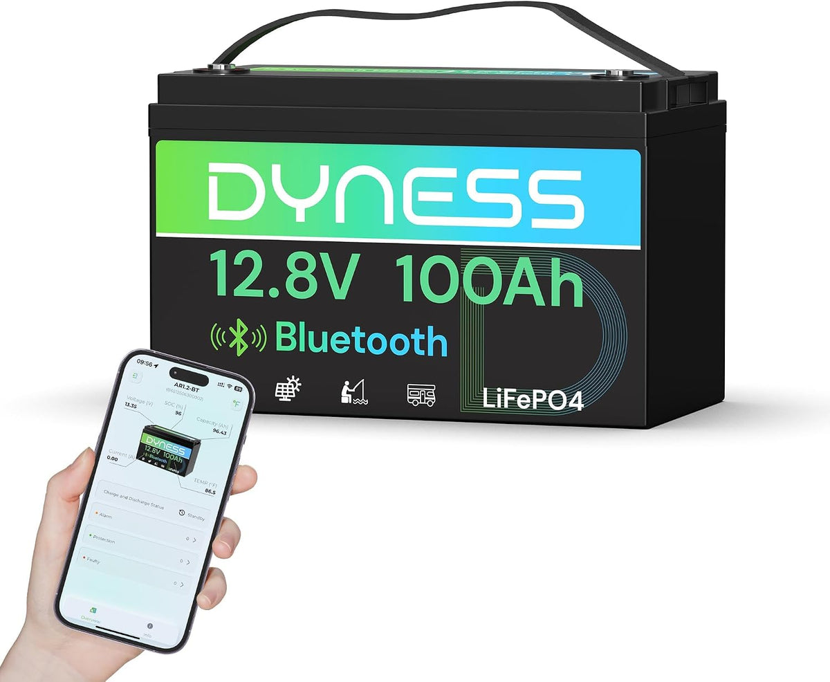 Dyness batterie, 12 V, 100 Ah, Noir/Vert, Lithium Bluetooth - LiFePO4 avec BMS 100A pour Camping-Car