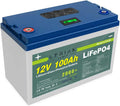LERIAN POWER Piles rechargeables, 12 V, 100 Ah, Bleu/Vert