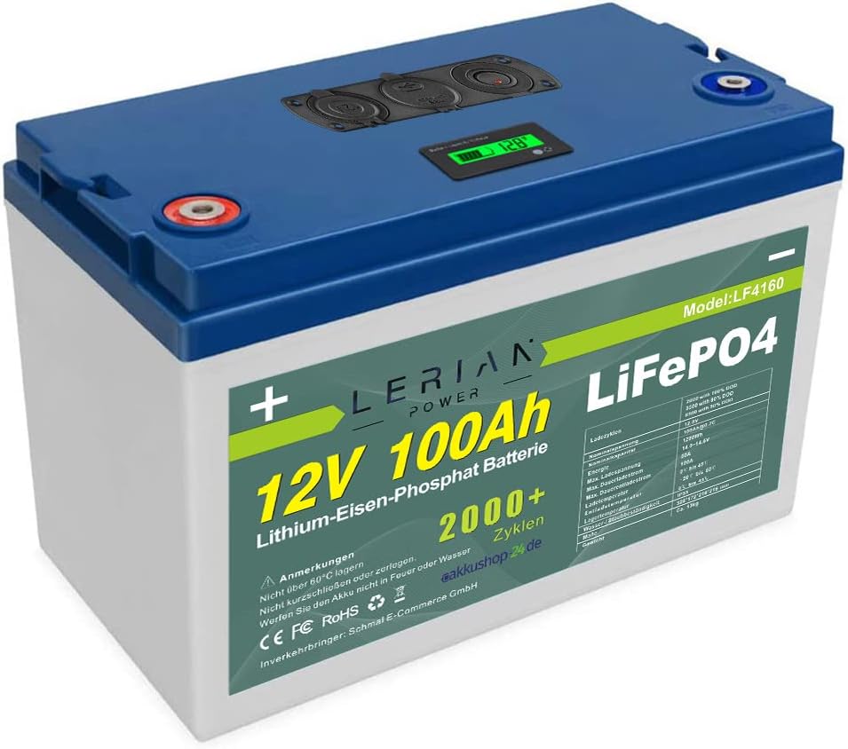 LERIAN POWER Piles rechargeables, 12 V, 100 Ah, Bleu/Vert