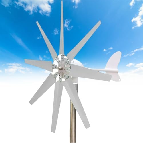 Générateur groupe électrogène, 3000 W, 12 V, Bleu/Gris, éolien - Petite éolienne Haute efficacité pour Usage Domestique