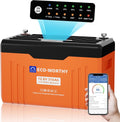 ECO-WORTHY batterie, 12 V, 314 Ah, 4019 Wh, Orange/Noir, Lithium EnergyTrek LiFePO4 Bluetooth avec écran, Camping-Car