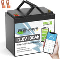 TCBWORTH batterie, 12 V, 100 Ah, Gris/Noir, Lithium Mini, LiFePO4 Rechargeable avec Bluetooth BMS 100A, 8000+ Cycles
